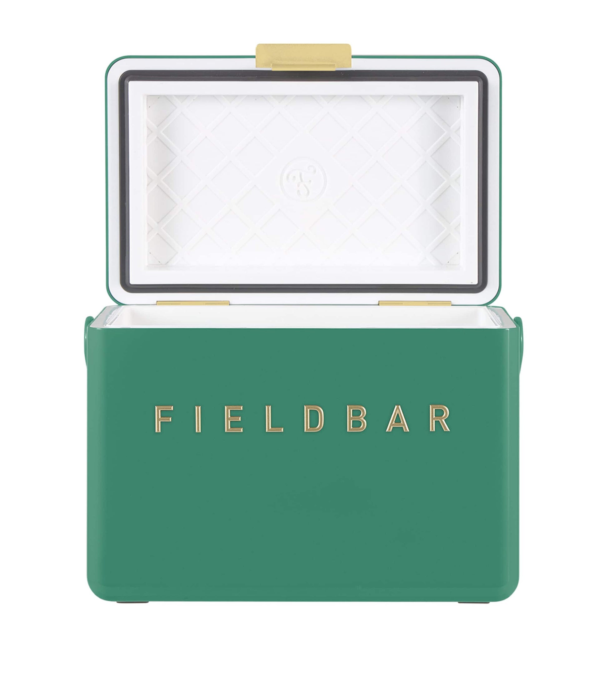 Mini Bar Cooler Box with Leather Sling (4L)