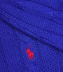 Polo Ralph Lauren Blue Cable-Knit Julianna Sweater