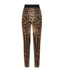 Dolce & Gabbana Multi Leopard-Print Leggings