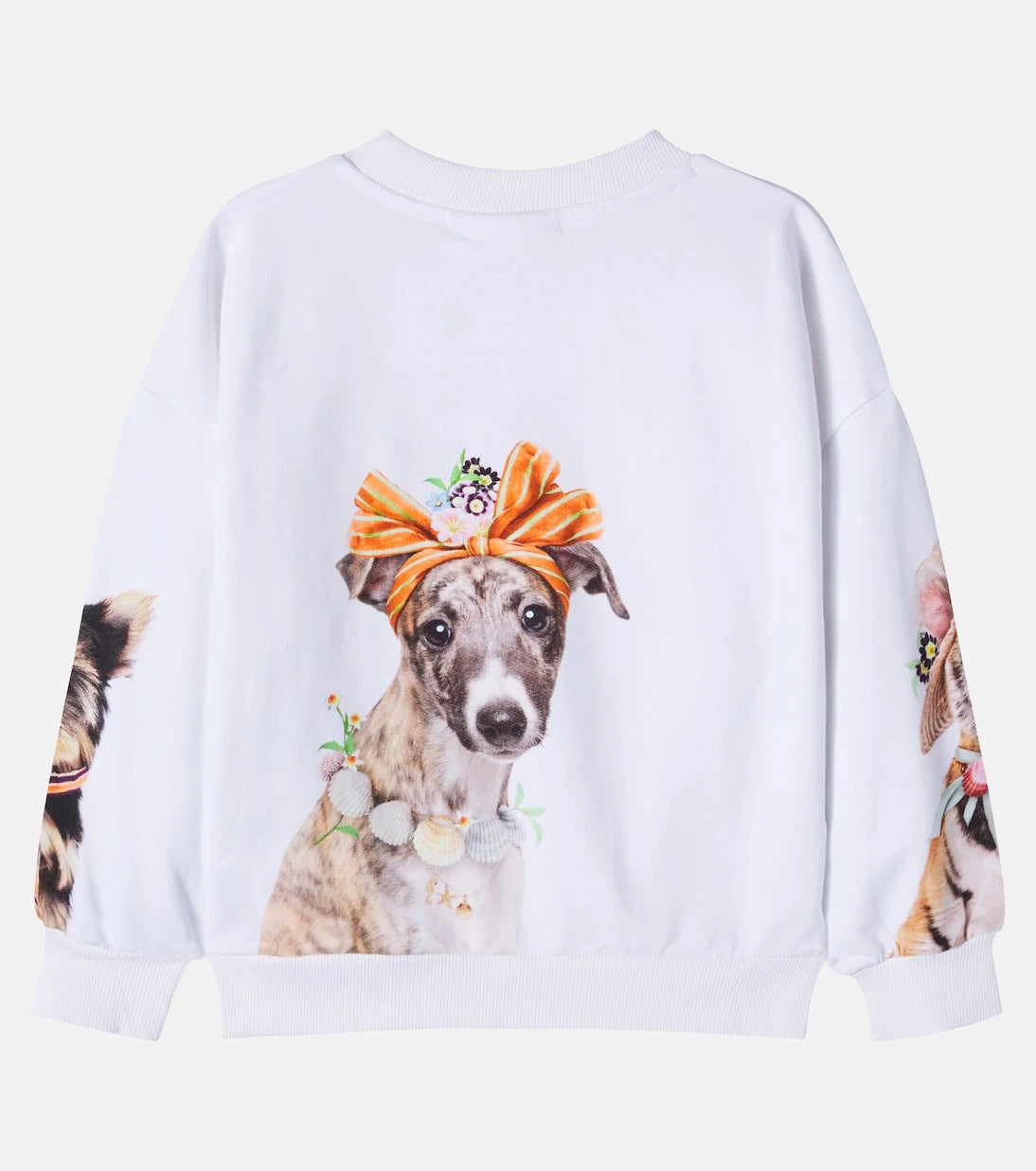Molo - Maxi printed cotton jersey sweatshirt