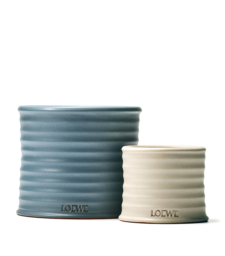 Large Oregano Scented Candle