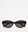 Saint Laurent Brown Acetate SL M148 Sunglasses