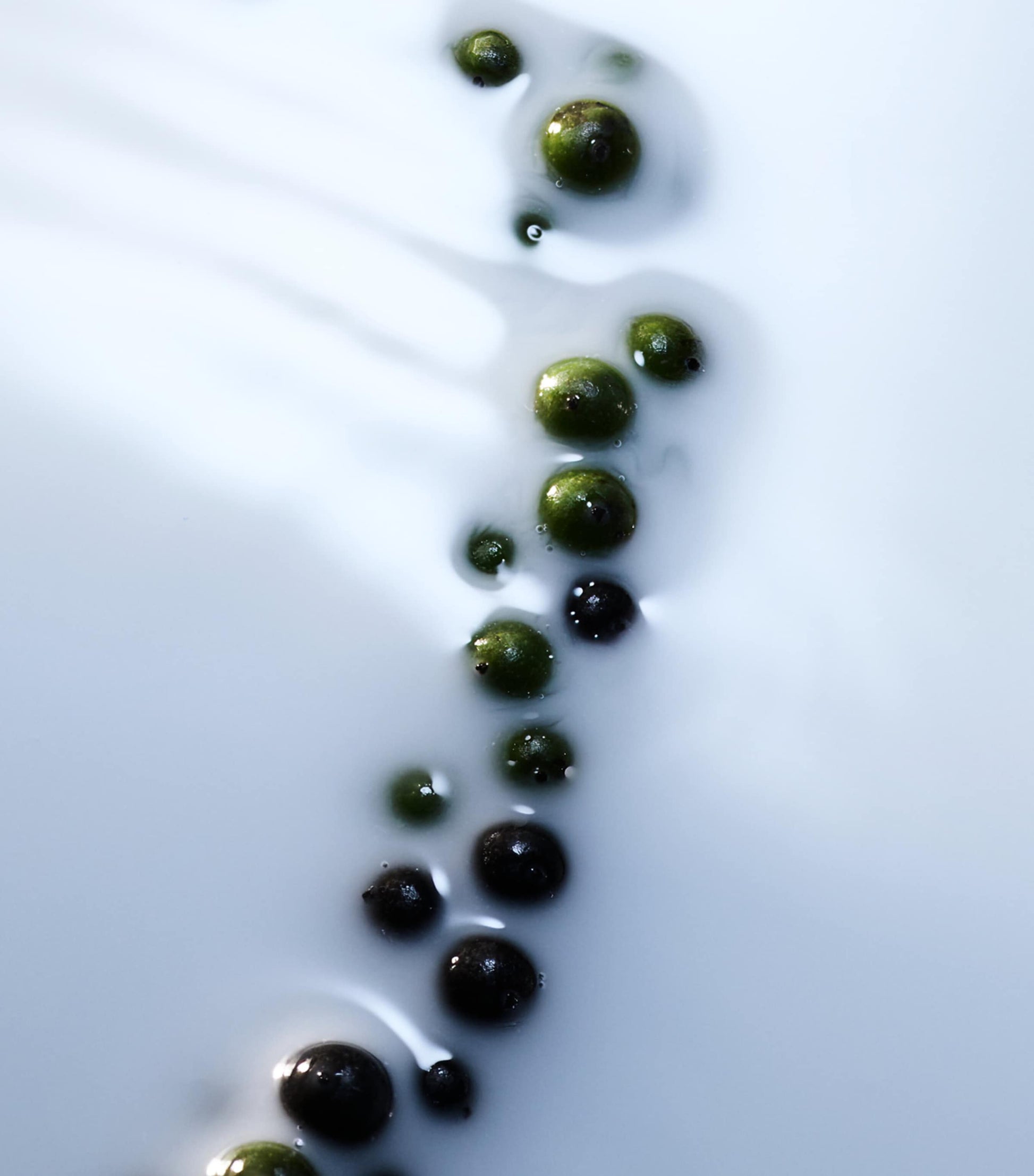 Blanche Absolu de Parfum (50ml)