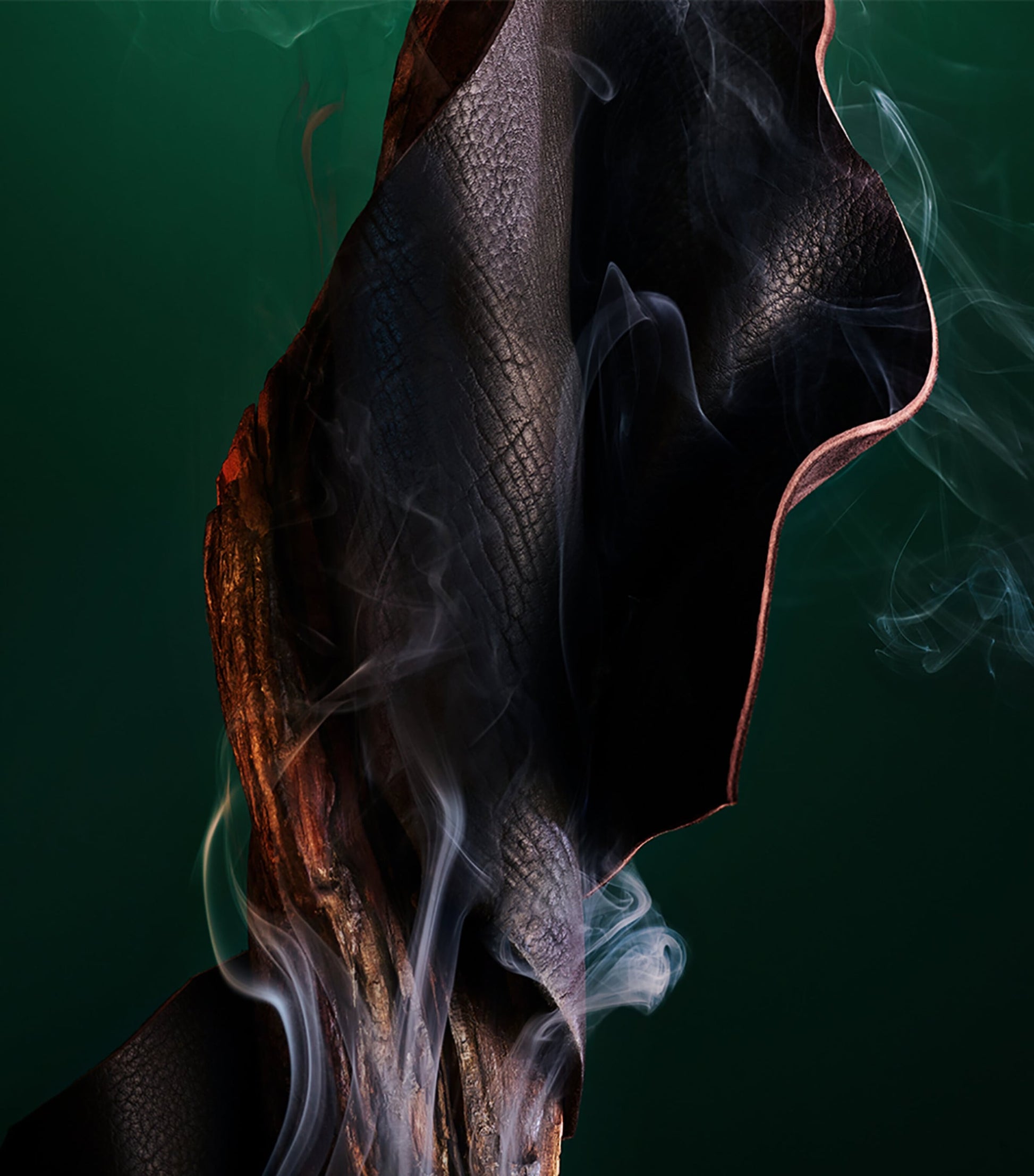 Le Gemme Falkar Eau de Parfum