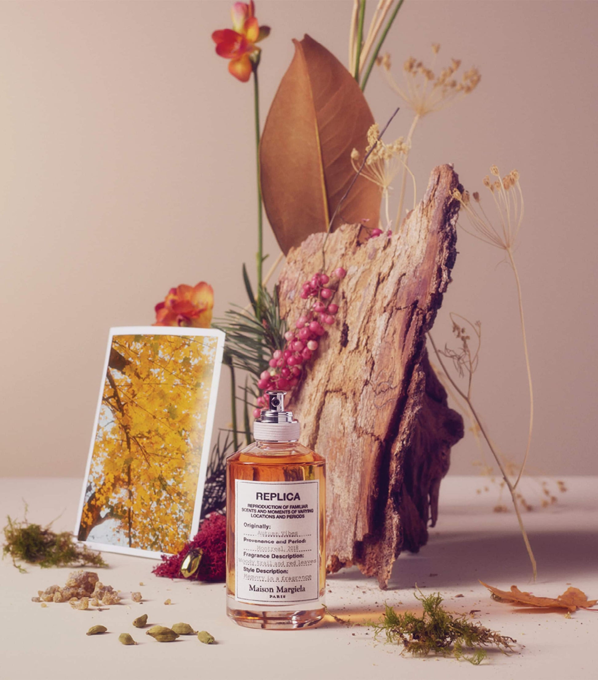 Replica Autumn Vibes Eau de Toilette (30-100ml)