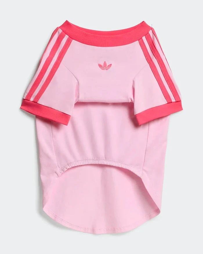 adidas Originals Evcil Hayvan Pet Cali
