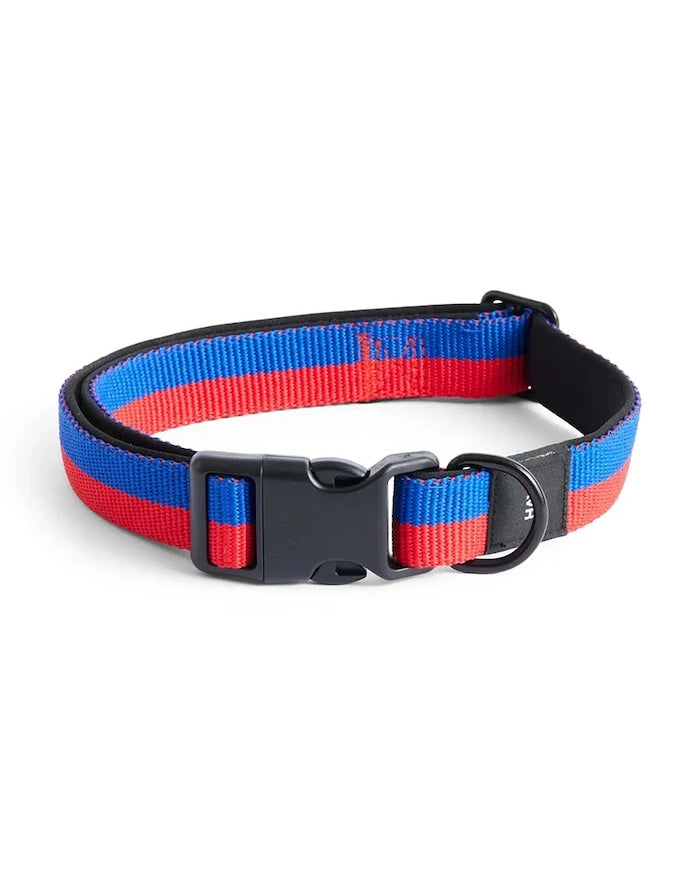 HAY Köpek Tasması M/L 2,5 x 40-65 cm