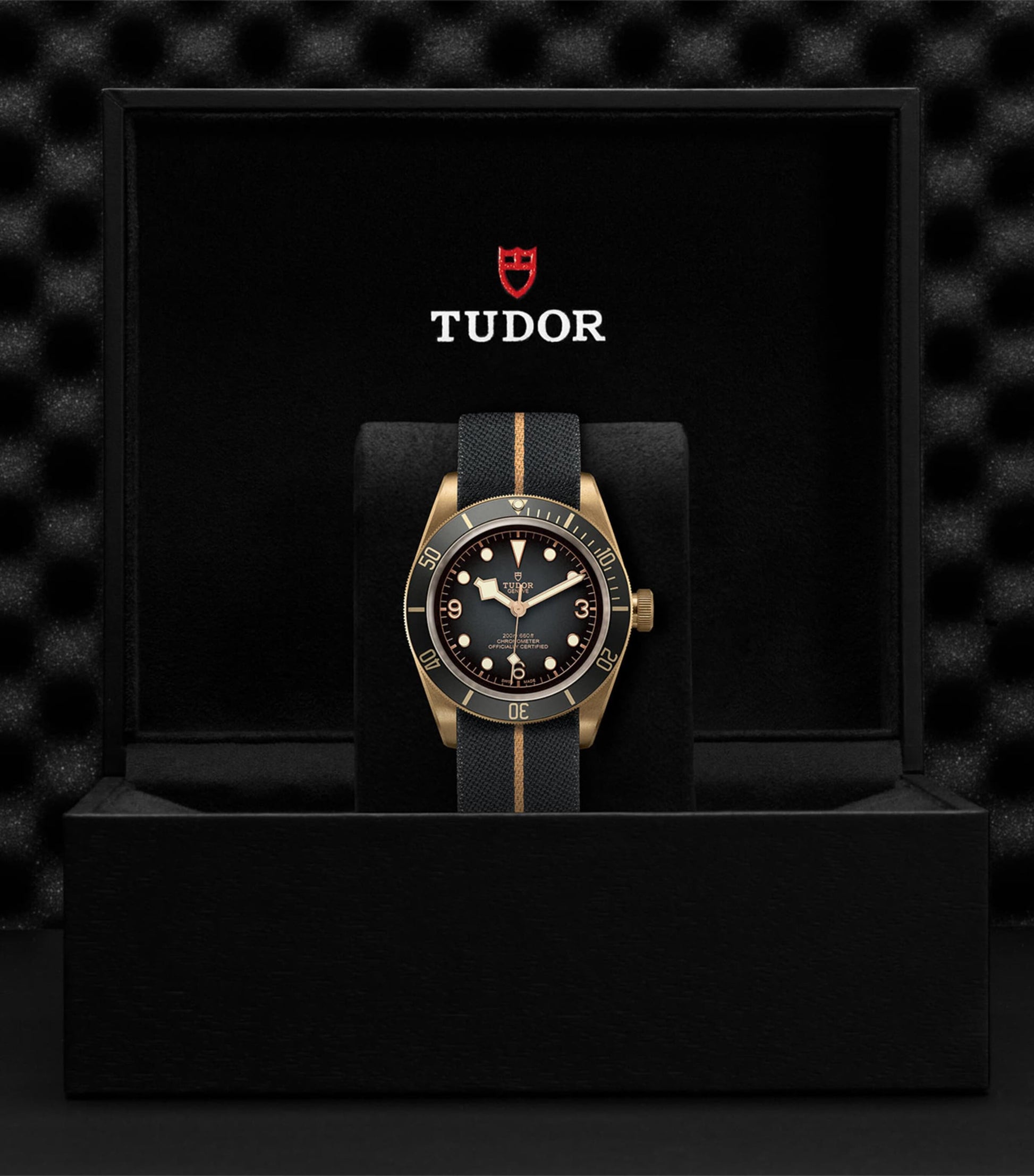 TUDOR Black Bay Bronze Watch 43mm