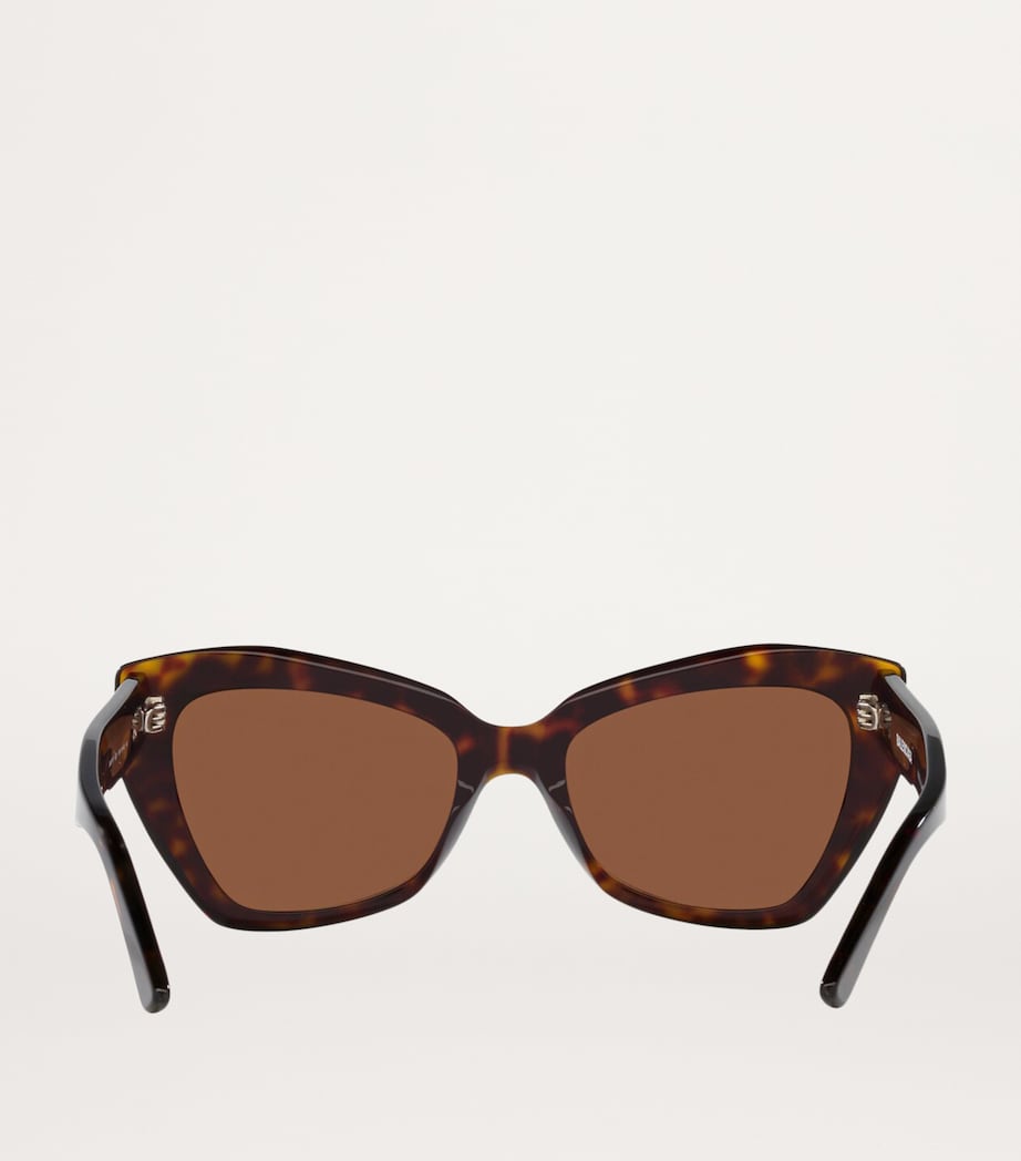 Balenciaga Brown Acetate 6E000282 Sunglasses