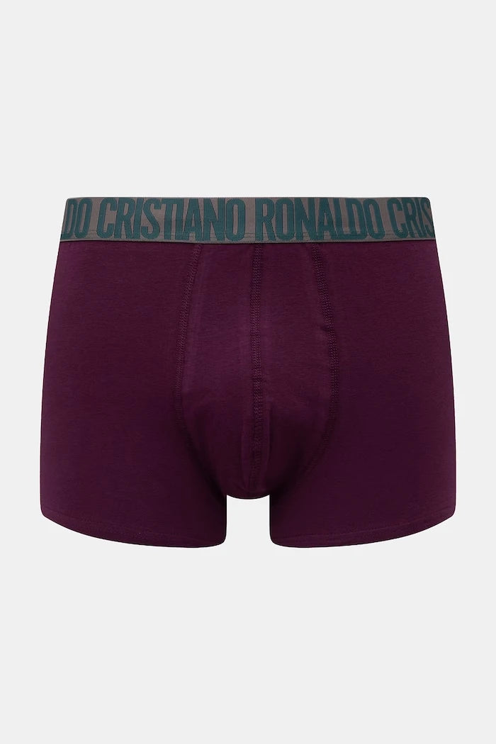 CR7 Cristiano Ronaldo erkek pamuklu elastan slim boxer 5'li