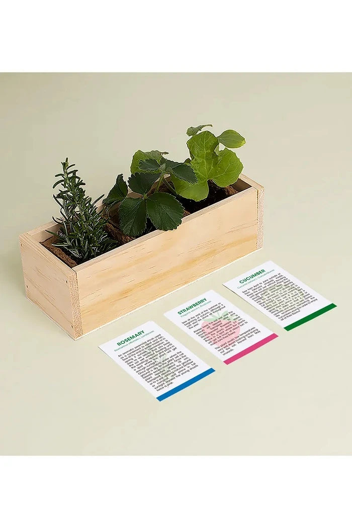 RESETEA Gin Tonic Growing Kit Bitki Yetiştirme Seti 21 x 7,8 x 6,5 cm