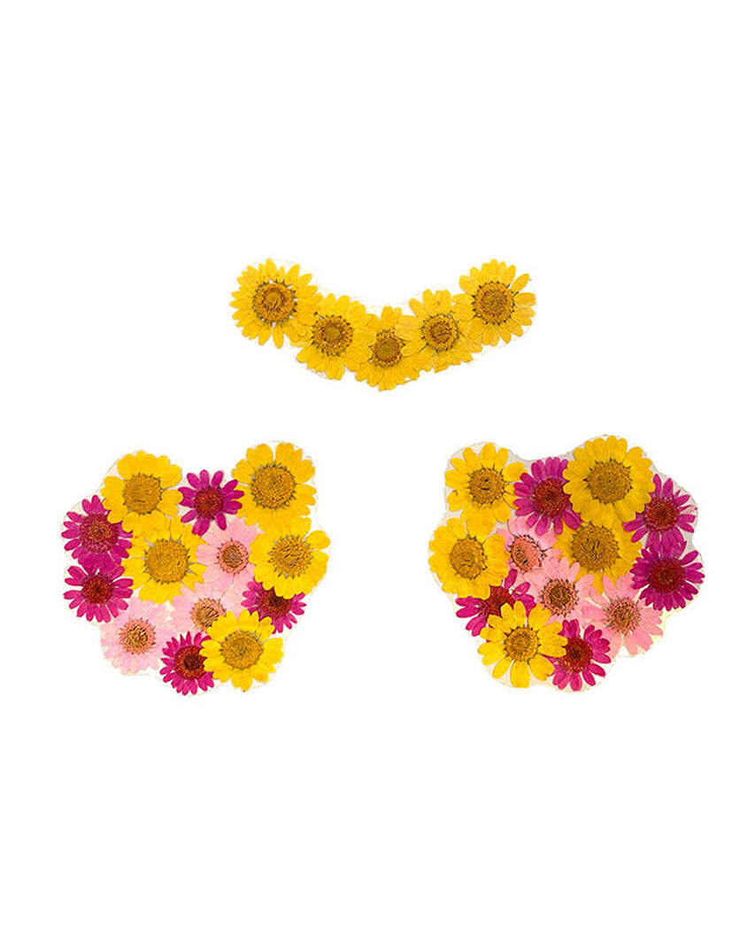 Indio Empress Yellow Real Dried Pressed Flower Nipztix