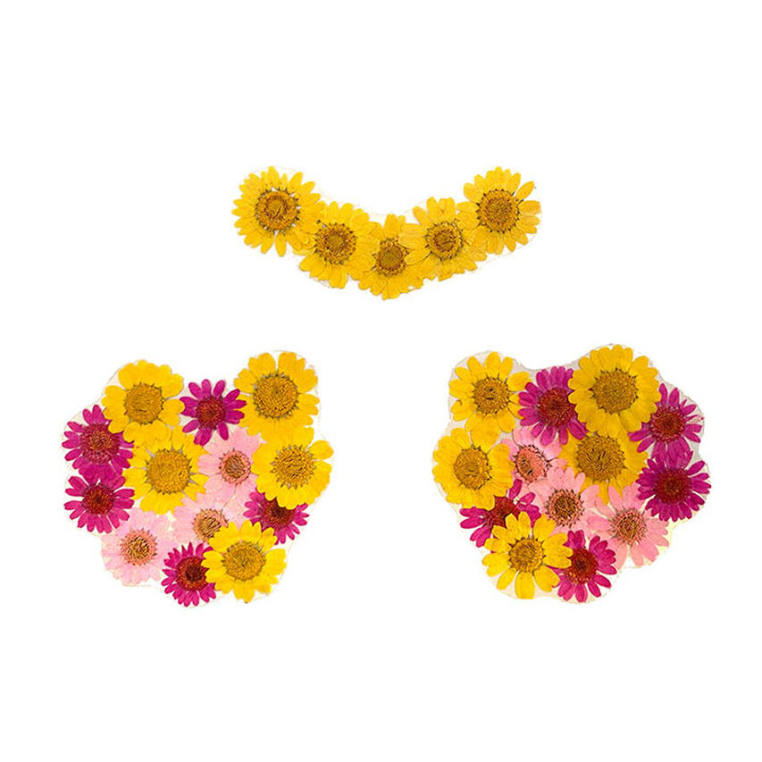 Indio Empress Yellow Real Dried Pressed Flower Nipztix