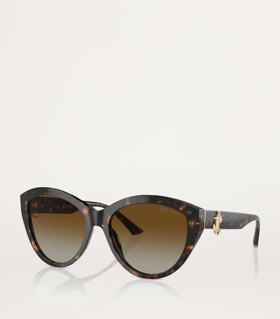 Brown Acetate JC5007 Sunglasses