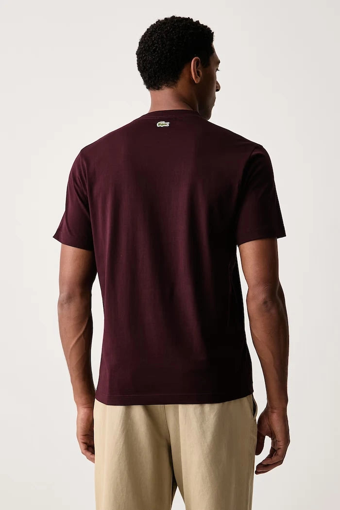 Lacoste erkek pamuklu tişört