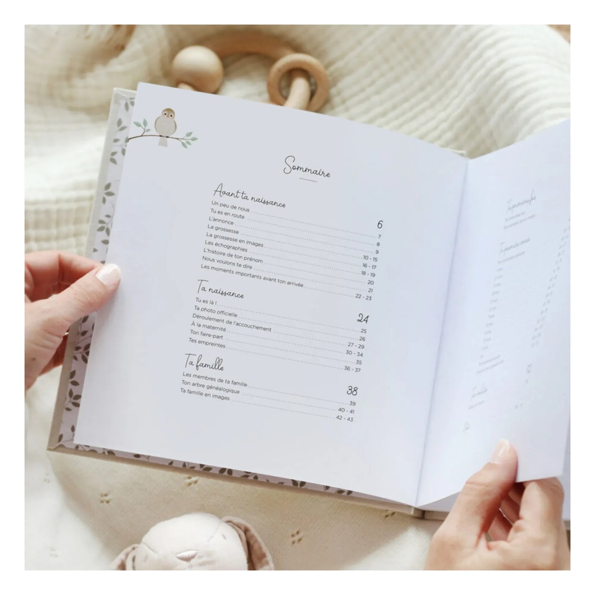 Zü - Birth book Your first year