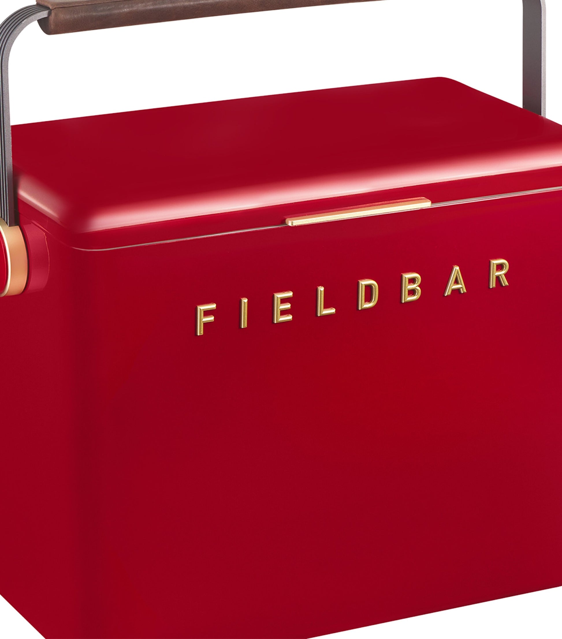 Fieldbar Gin Trunk Cooler Box (24L)