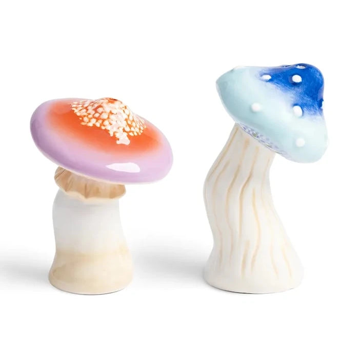 &k amsterdam Magic Mushroom Tuz ve Karabiber Seti