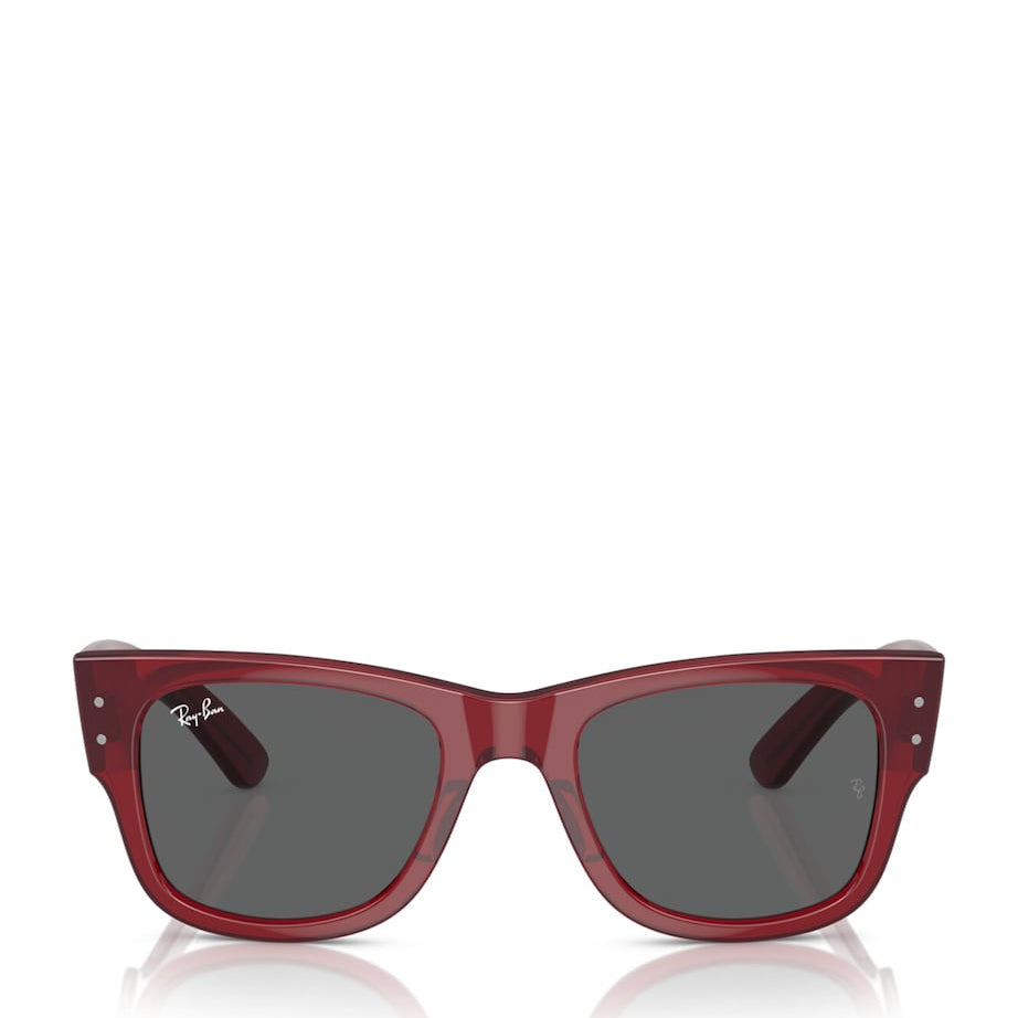Ray-Ban Red Propionate 0RB0840S Sunglasses