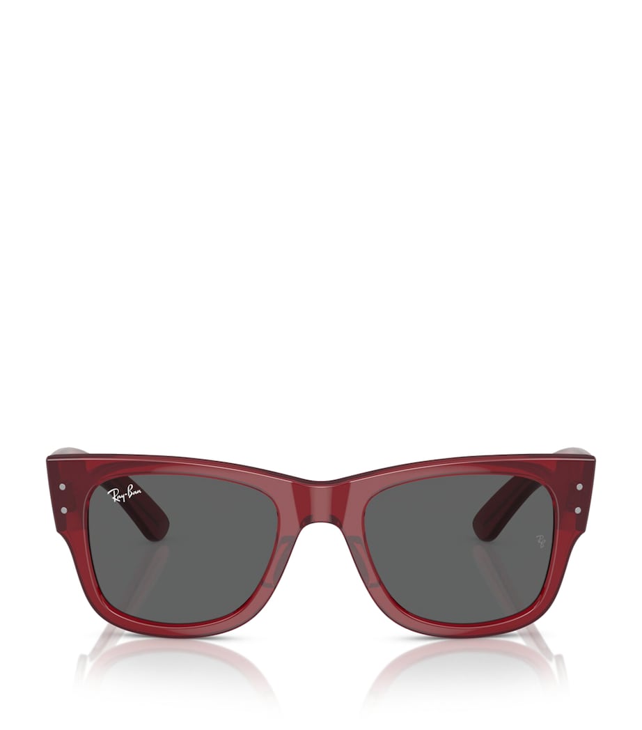 Ray-Ban Red Propionate 0RB0840S Sunglasses