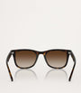 Ray-Ban Brown Injected RB4420 Sunglasses