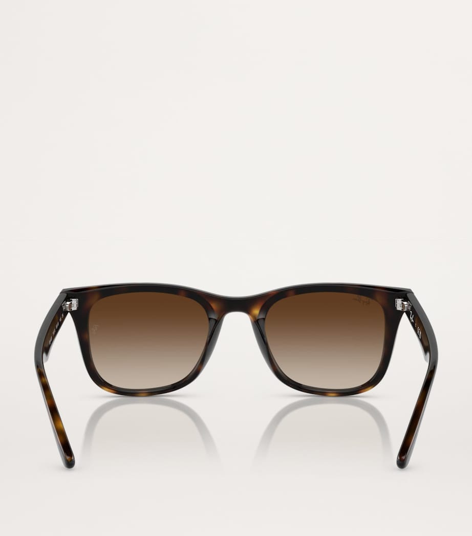 Ray-Ban Brown Injected RB4420 Sunglasses