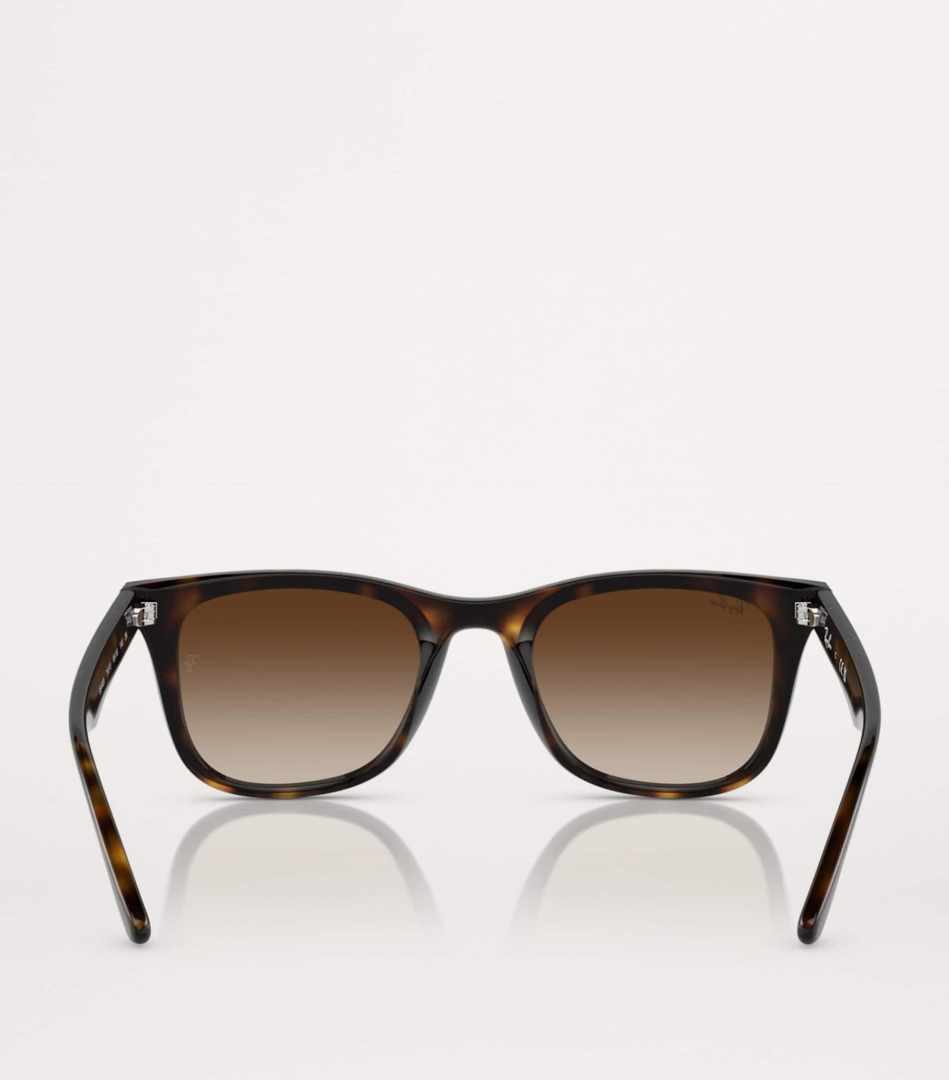 Injected RB4420 Sunglasses