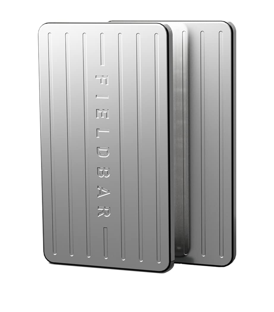 Stainless Steel Ice Bars (Set of 2)