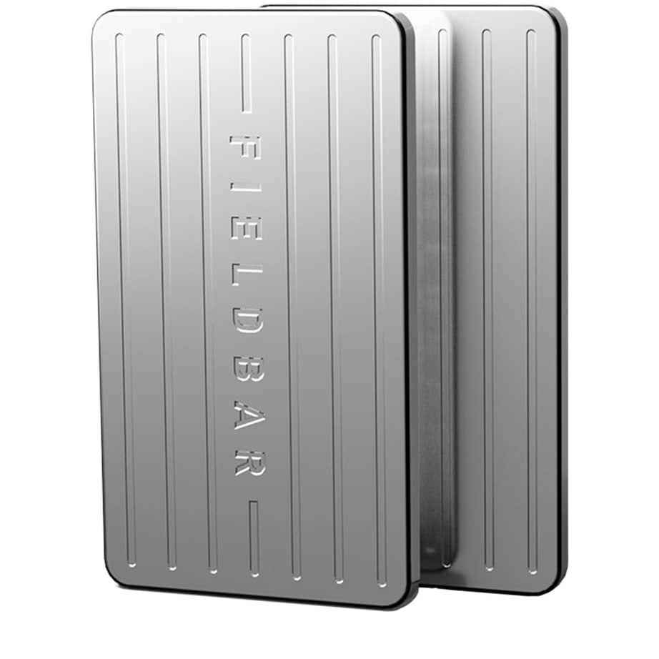 Stainless Steel Ice Bars (Set of 2)