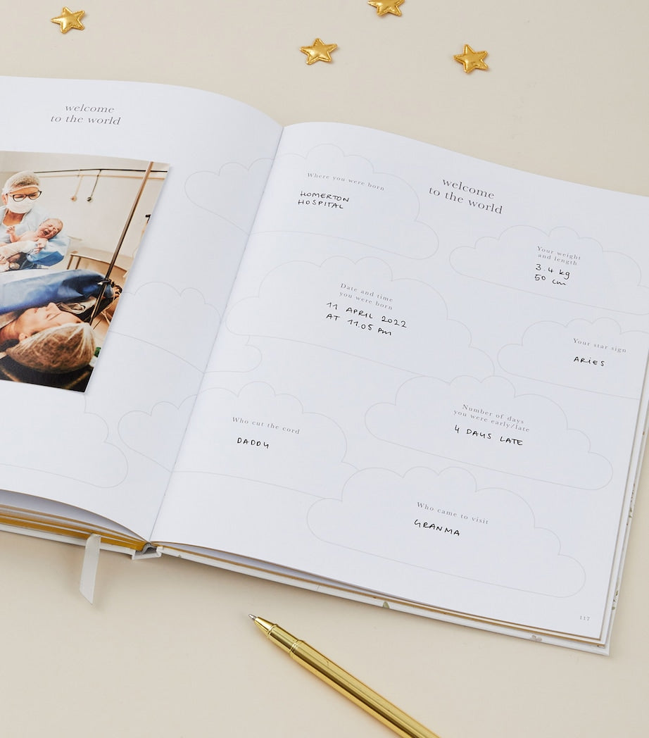 Blush and Gold My Pregnancy Journal