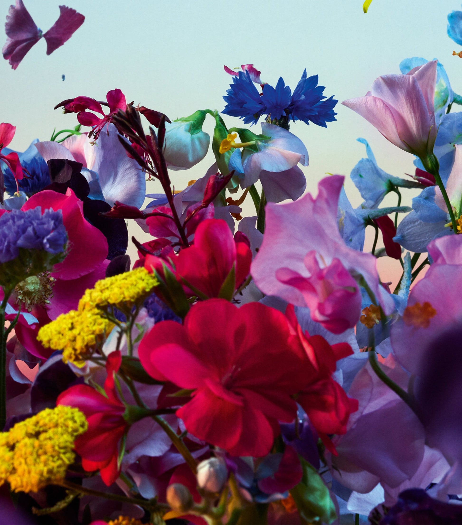 Absolus Allegoria Florabloom Eau de Parfum (125ml)