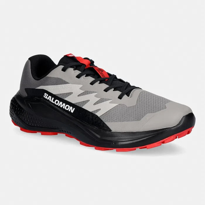 Обувки Salomon ALPHAGLIDE