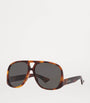 Brown Acetate SL 652 Sunglasses