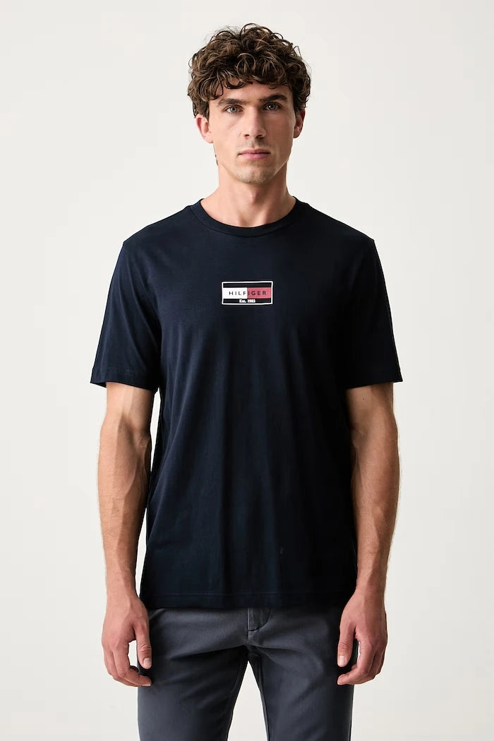 Tommy Hilfiger erkek pamuklu tişört