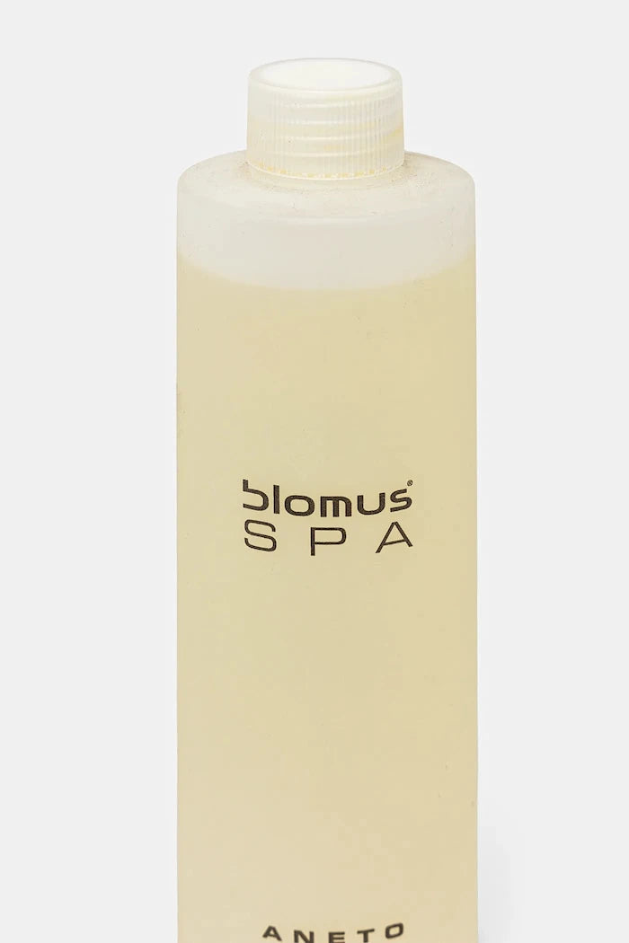 Аромат за стая Blomus Aneto 300 ml