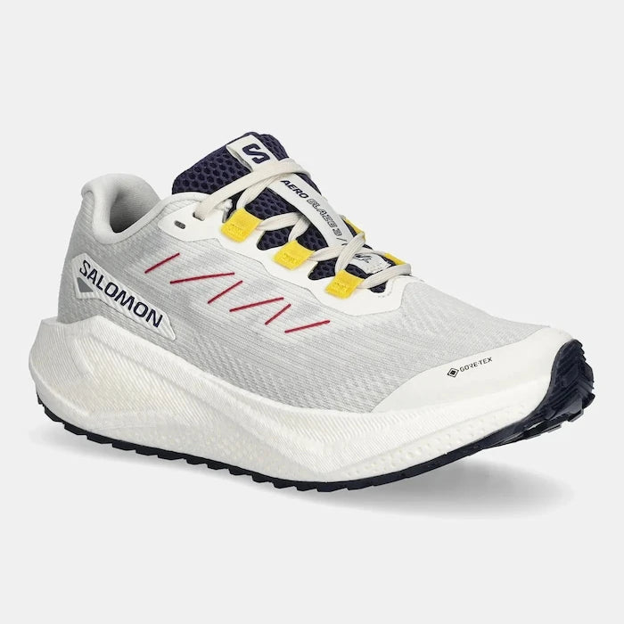 Обувки за трениране Salomon AERO BLAZE 3 GRVL