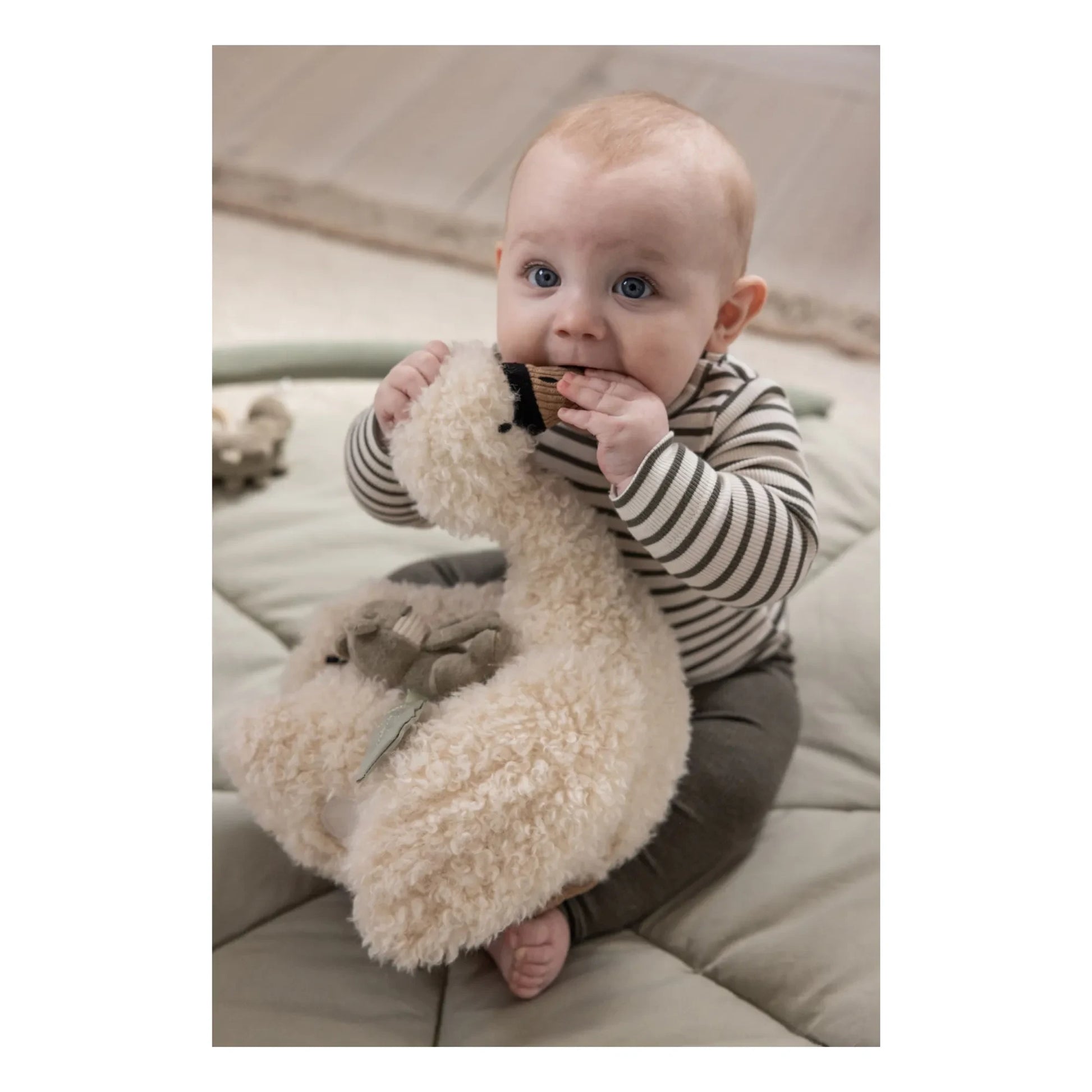 Sebra - Activity swan | White