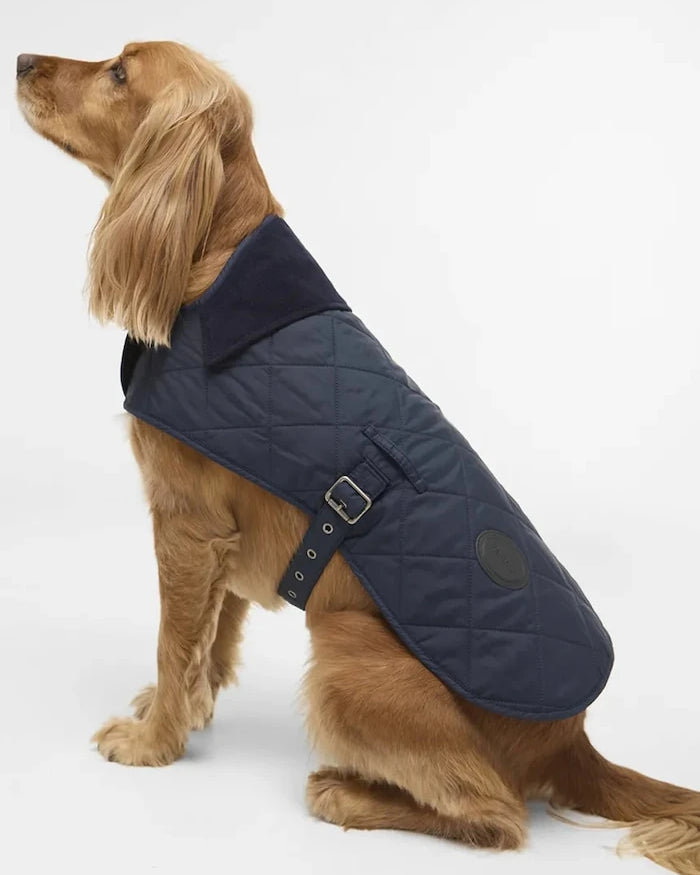 Barbour Köpek Montu