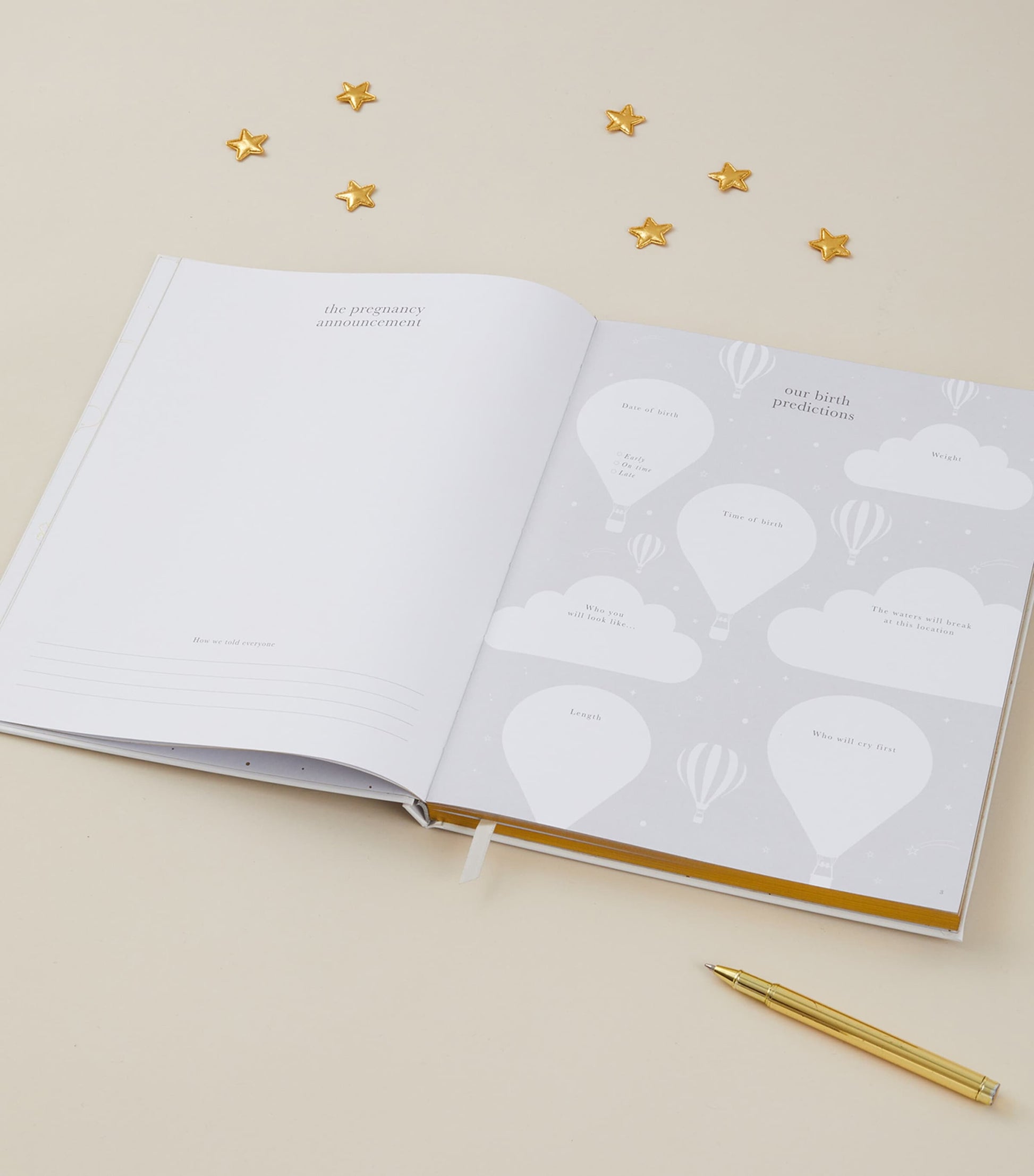 Blush and Gold My Pregnancy Journal