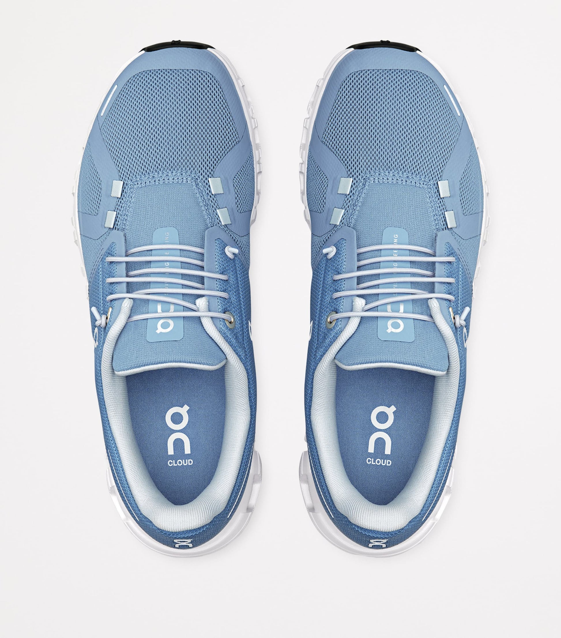 Multi Cloud 6 Trainers