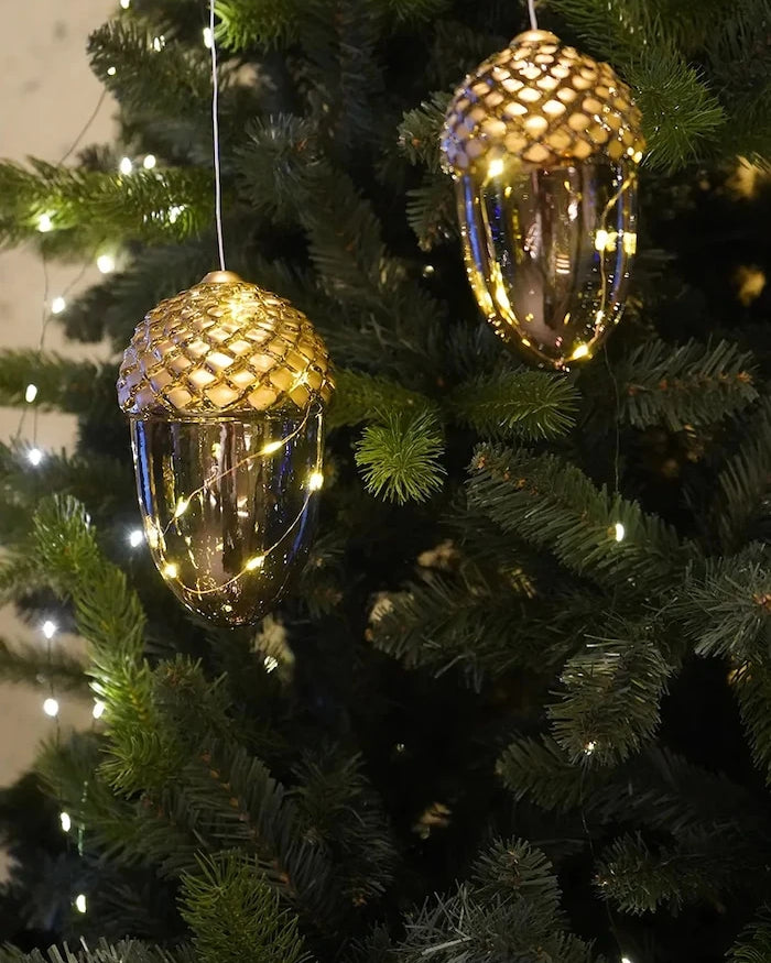 Led Noel Süsü Sirius Celina Agern