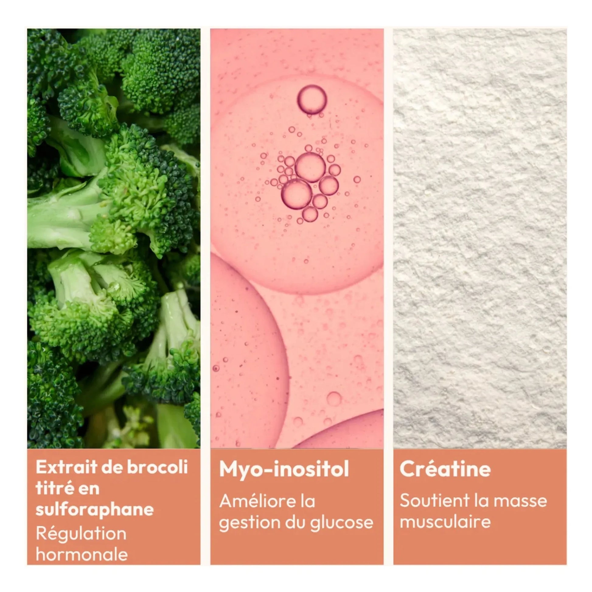 MiYé - Essentiels metabolism activators - 153g
