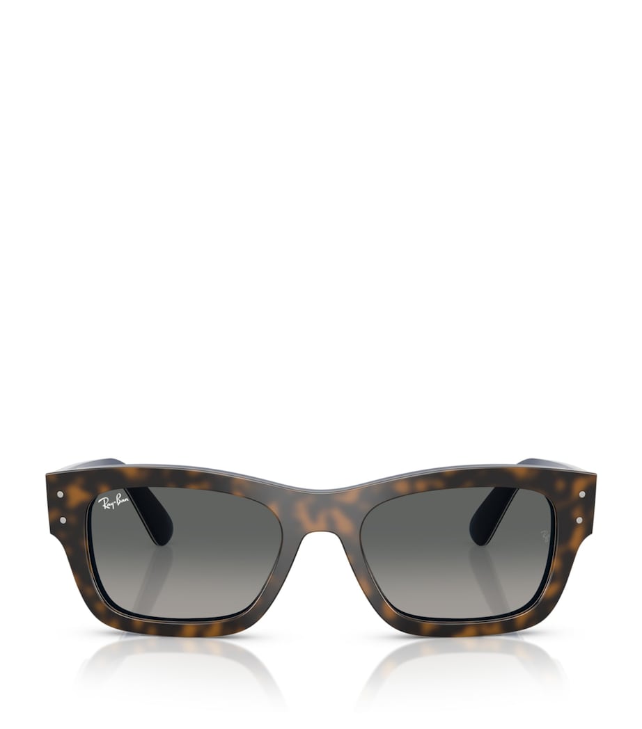 Ray-Ban Grey Acetate Joseph Sunglasses