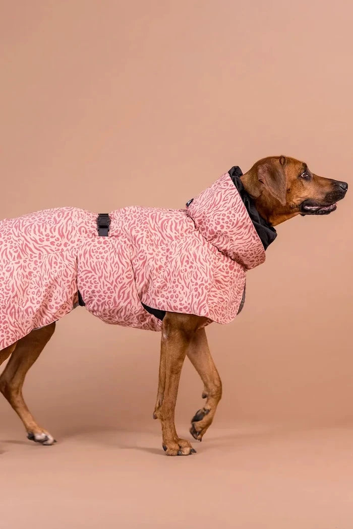 PAIKKA Visibility Winter Jacket Köpek Kışlık Mont 48 x 42 x 2,1 cm