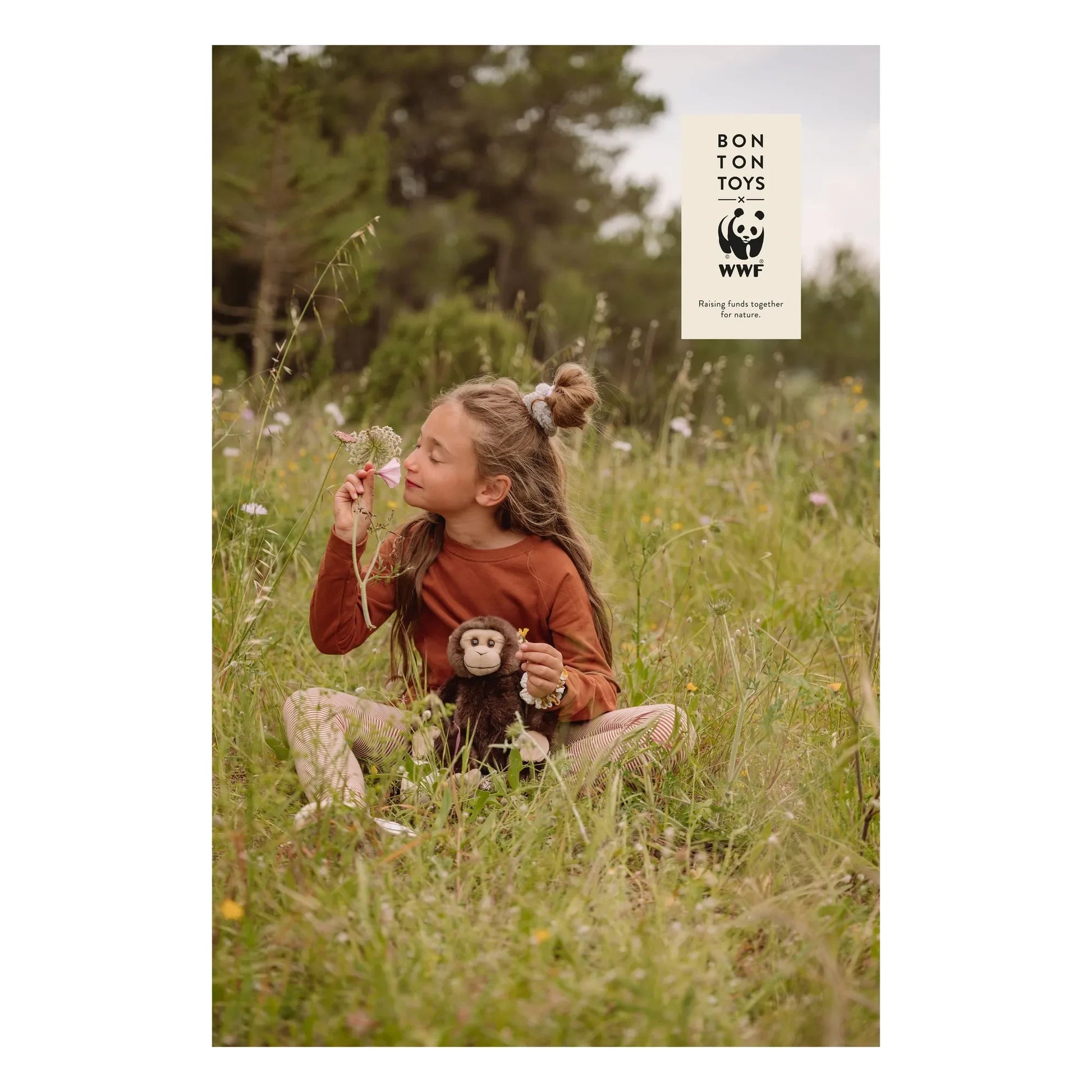 Bon Ton Toys - WWF - Chimpanzee plush | Brown