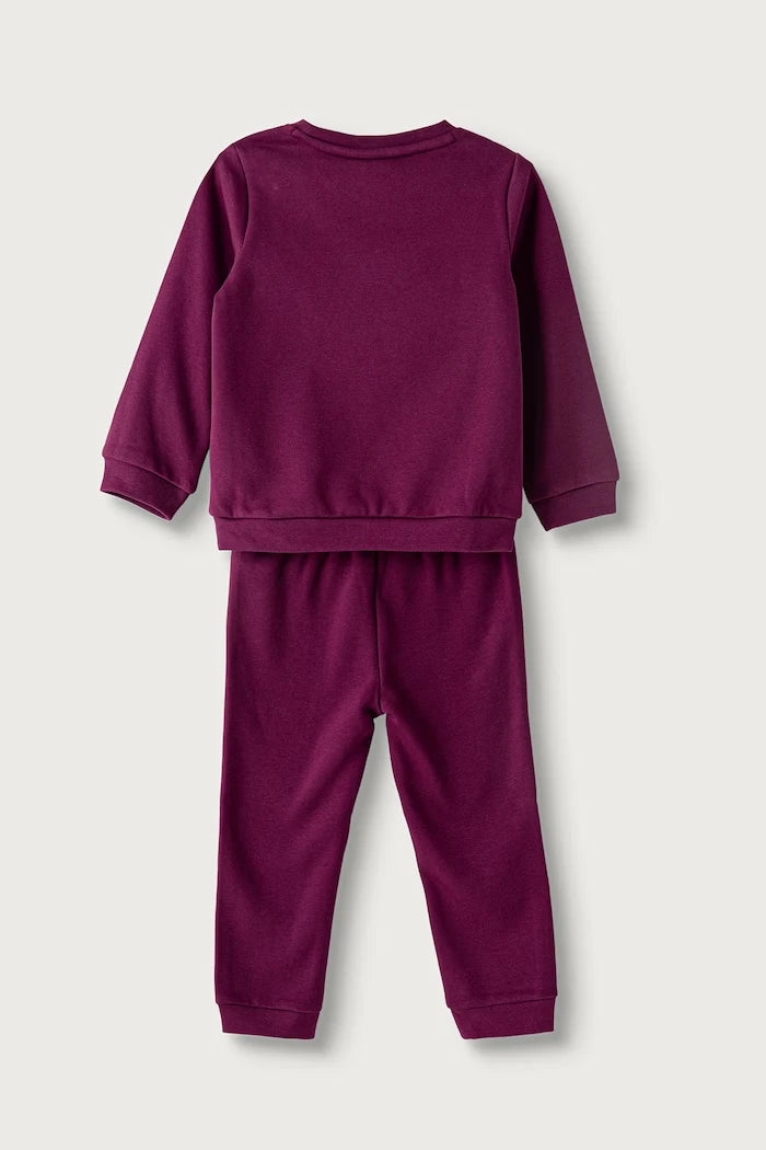 Puma çocuklar için pamuklu spor takım MINICATS ESS Crew Set FL INF