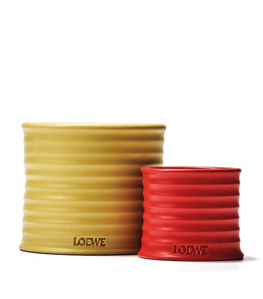 LOEWE Medium Honeysuckle Scented Candle