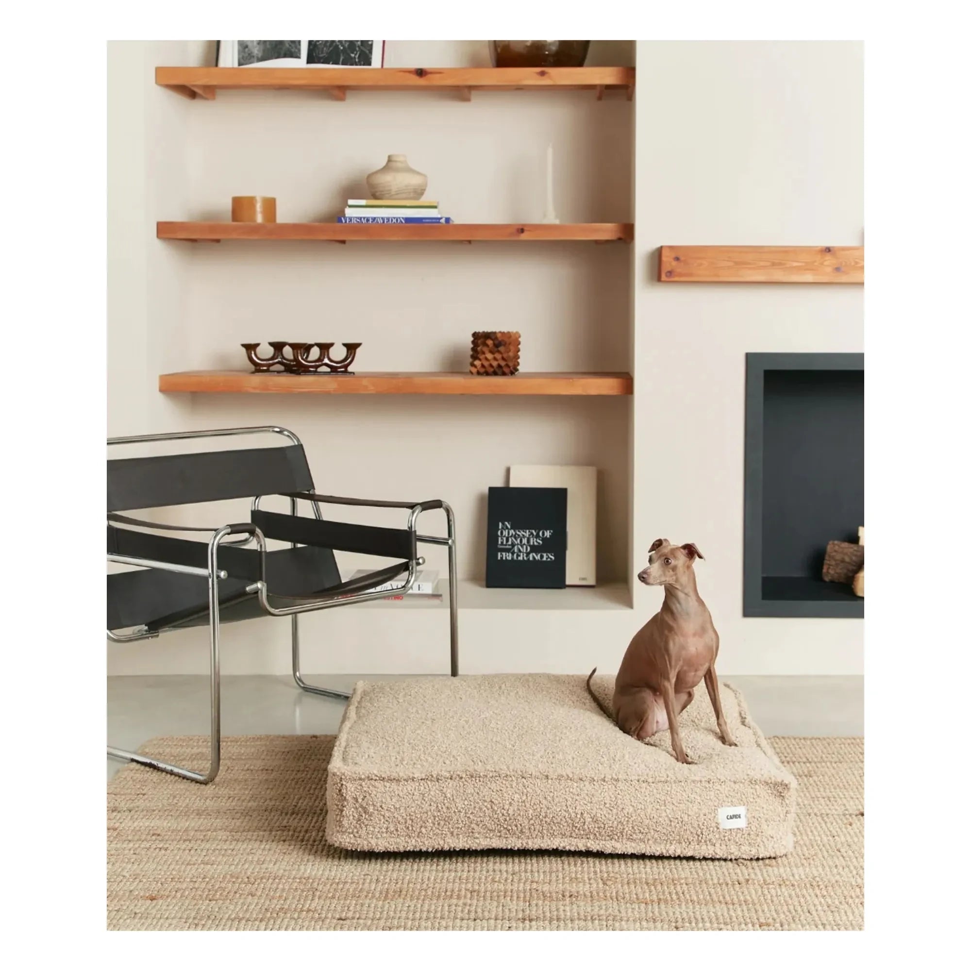 Cafide - Cuadra Buckwheat Dog Mattress | Beige
