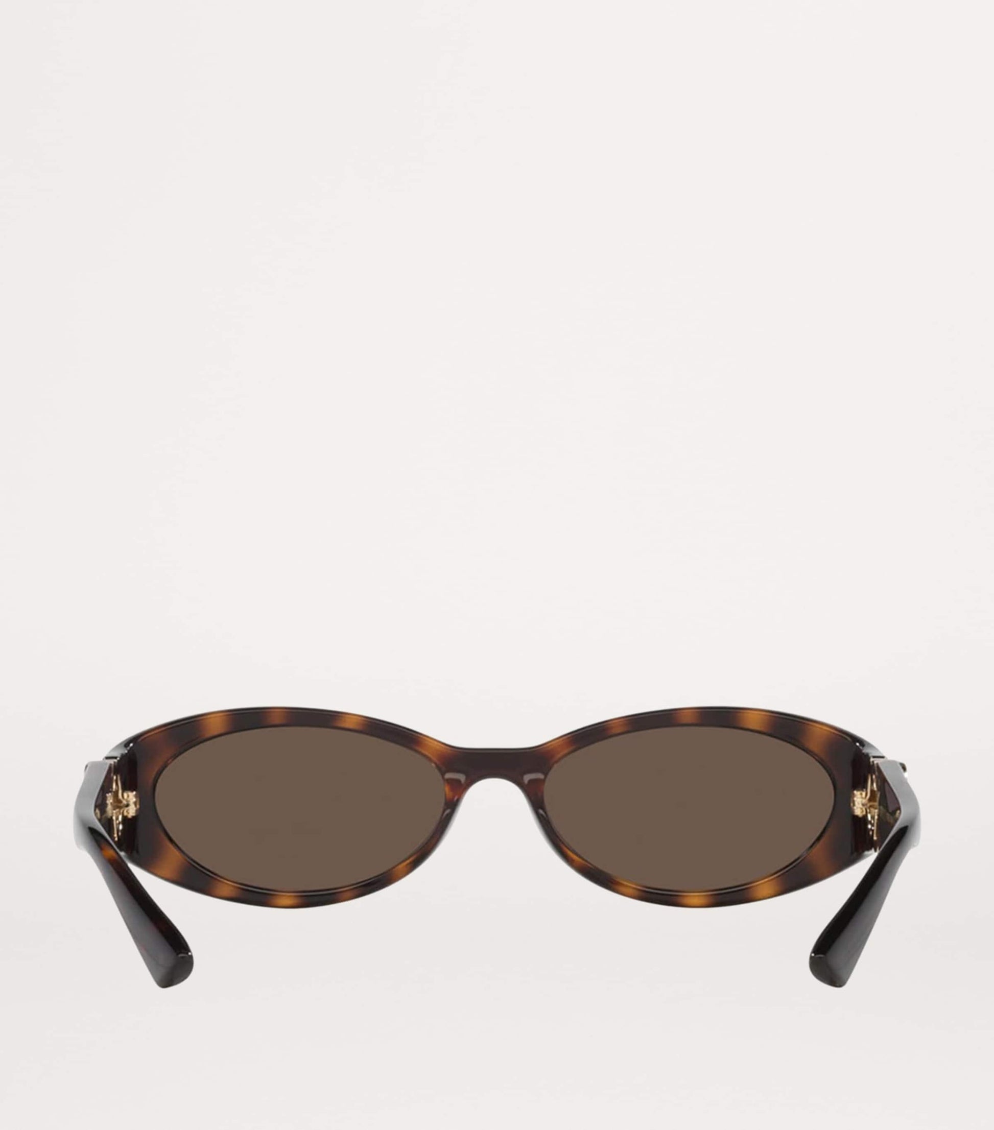 Brown Injected GG1660S Sunglasses