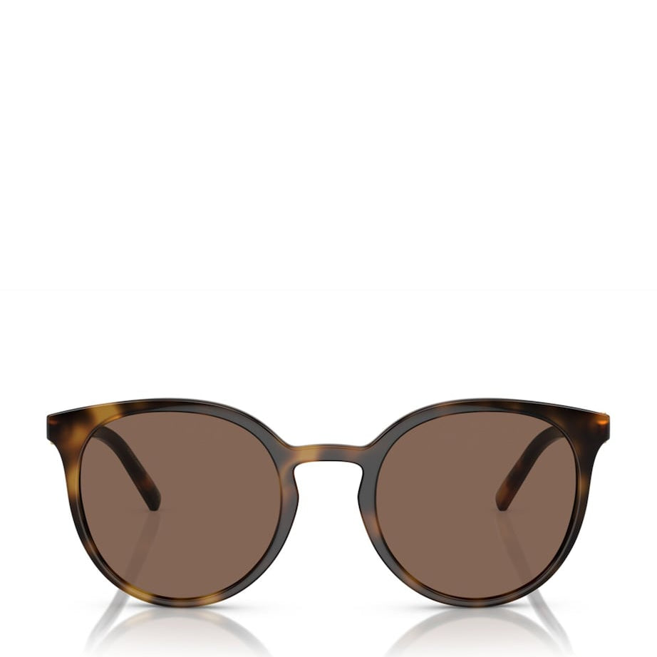 Brown Injected 0DG6189U Sunglasses